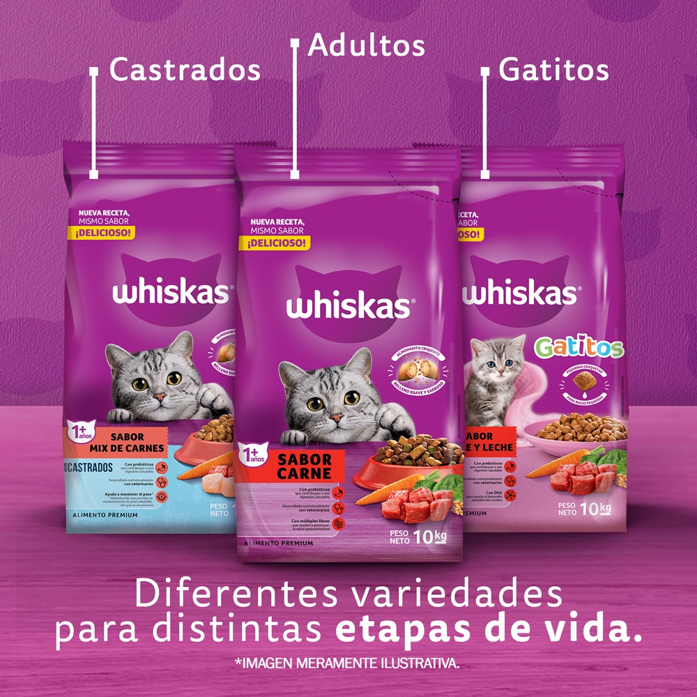 Whiskas Alimento Seco Carne y Leche para Gato Cachorro - 6