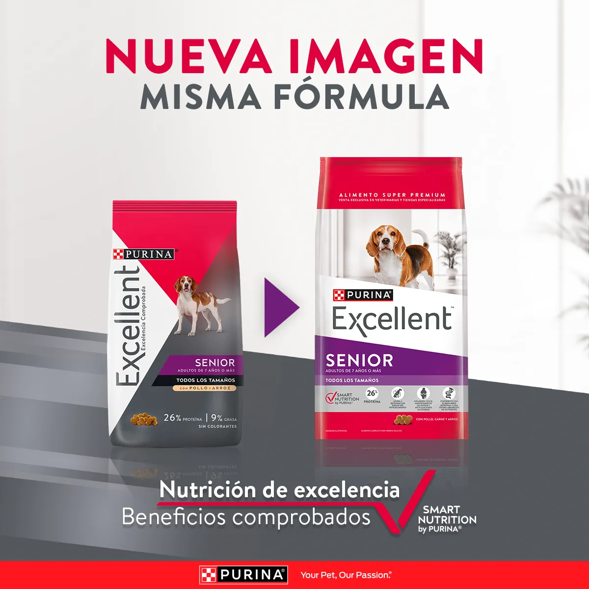 Excellent Senior Dog Pollo y Arroz para Perro Senior - 2