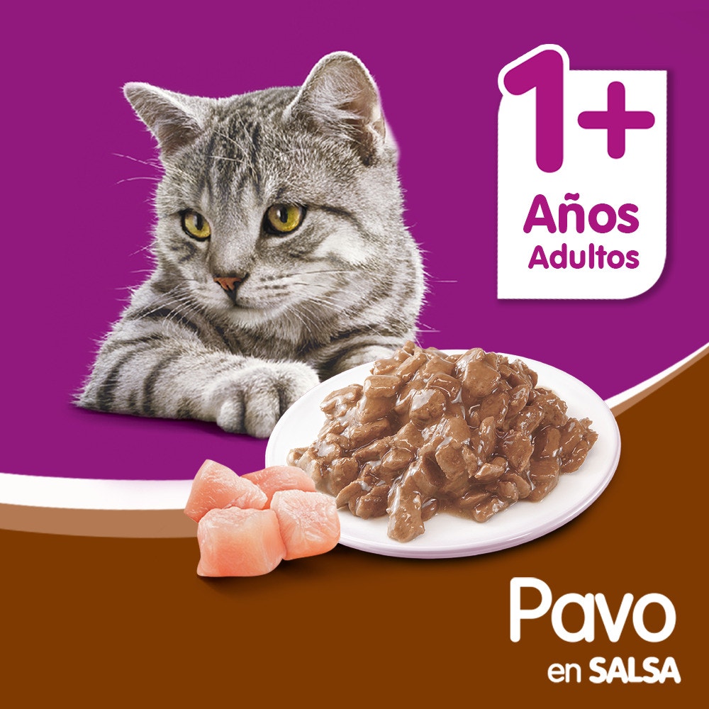 Whiskas Pavo en Salsa para Gato Adulto - 5