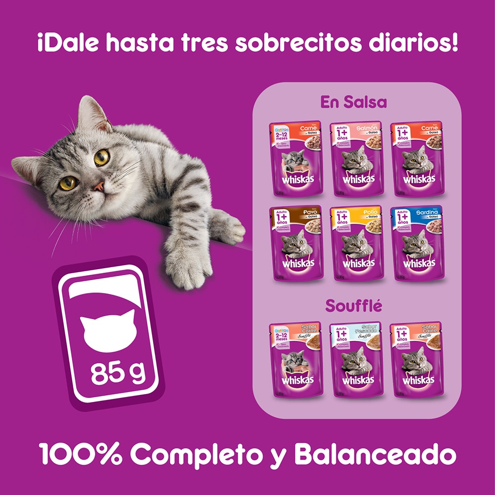 Whiskas Pavo en Salsa para Gato Adulto - 7