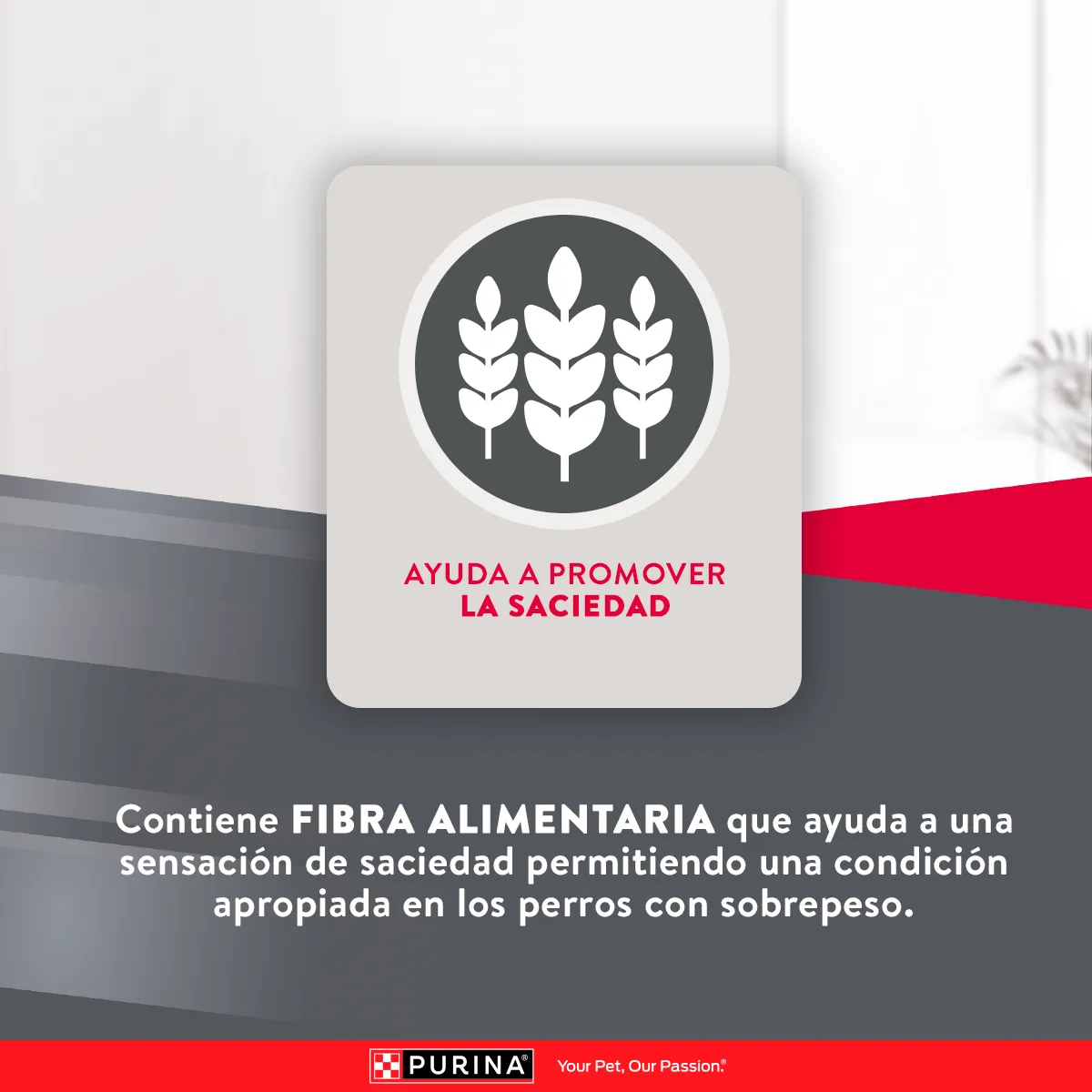 Excellent Control de Peso para Perro Adulto - 7