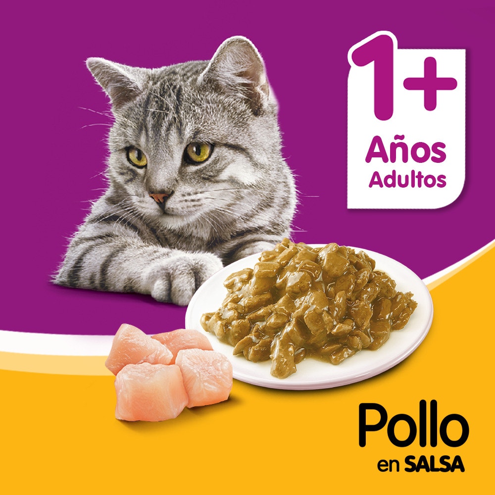Whiskas Pollo en Salsa para Gato Adulto - 5