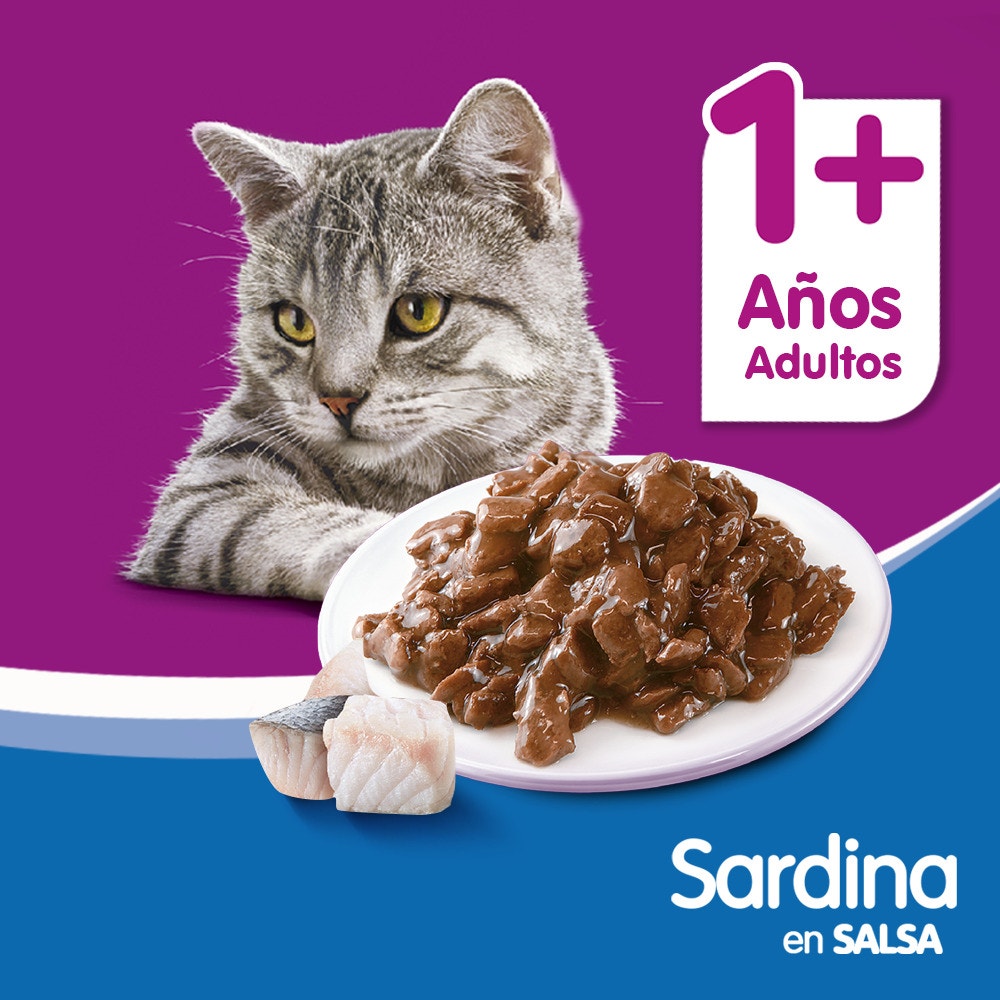 Whiskas Sardina en Salsa para Gato Adulto - 5