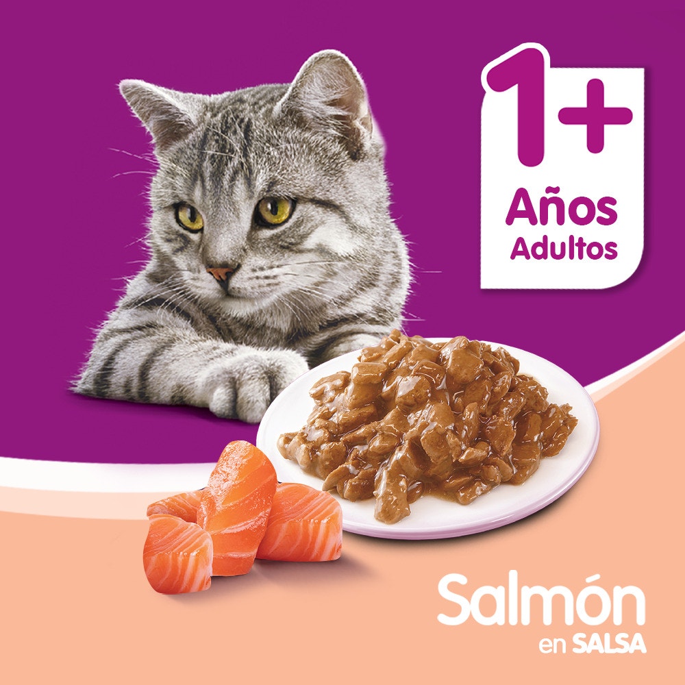 Whiskas Salmón en Salsa para Gato Adulto - 5