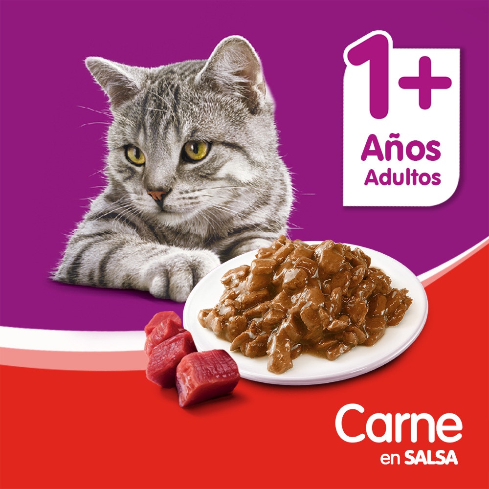 Whiskas Carne en Salsa para Gato Adulto - 4