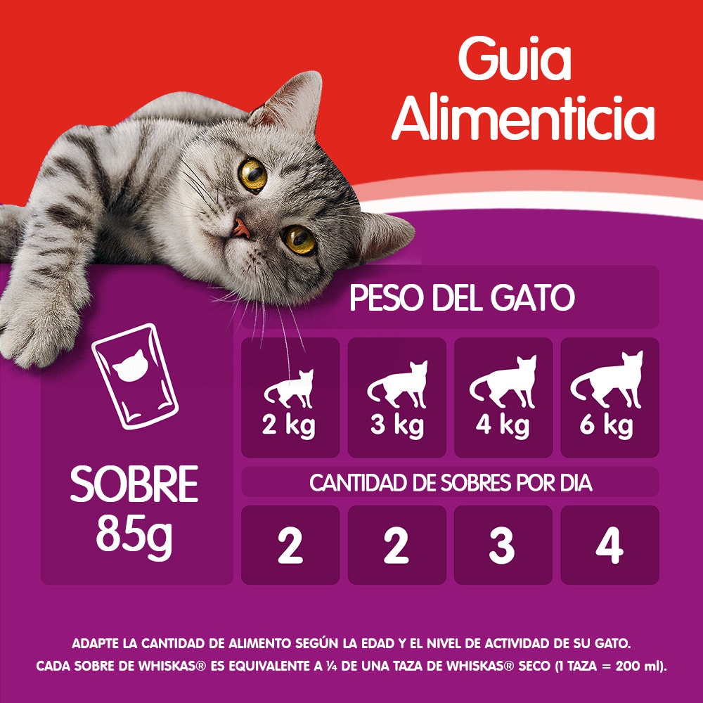 Whiskas Carne en Salsa para Gato Adulto - 6