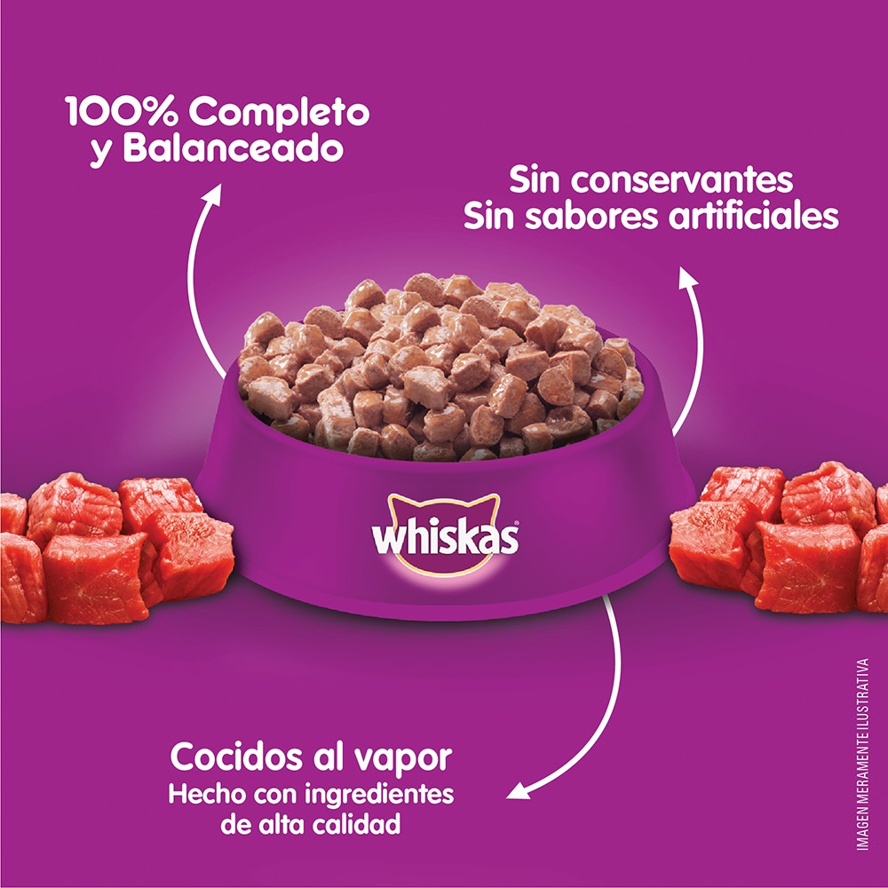 Whiskas Carne en Salsa para Gato Cachorro - 4