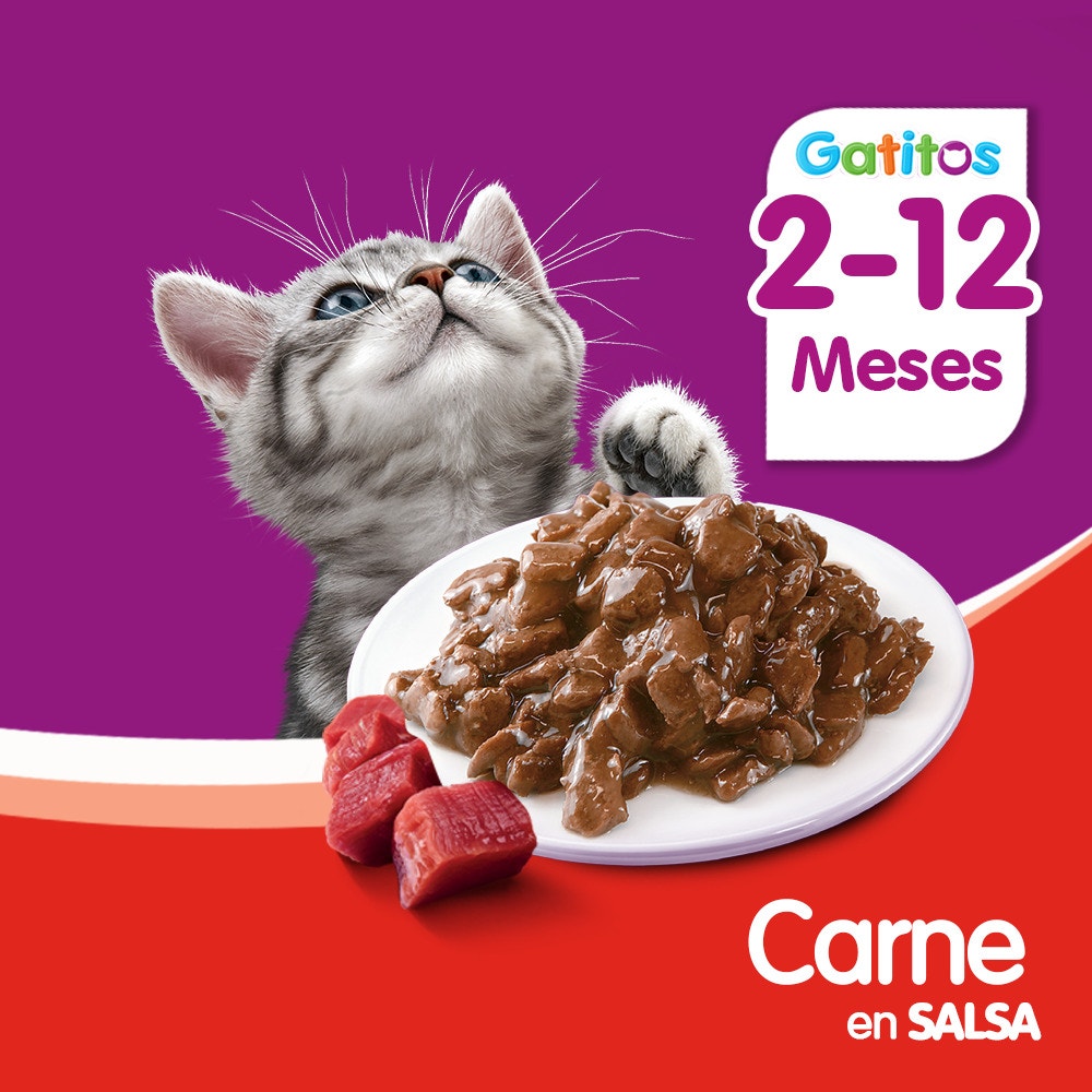 Whiskas Carne en Salsa para Gato Cachorro - 5