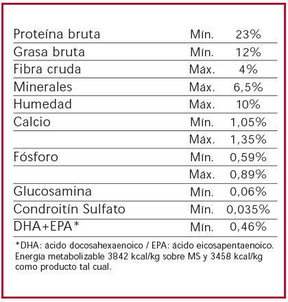 Nutrique Adulto Large para Perro Adulto Grande - 2