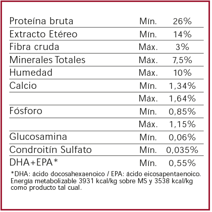 Nutrique Puppy Large - 2