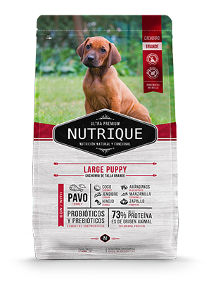 Nutrique Puppy Large - 1