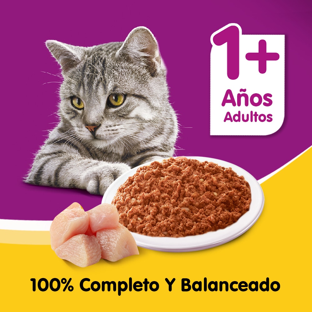 Whiskas Pollo en Paté para Gato Adulto - 5