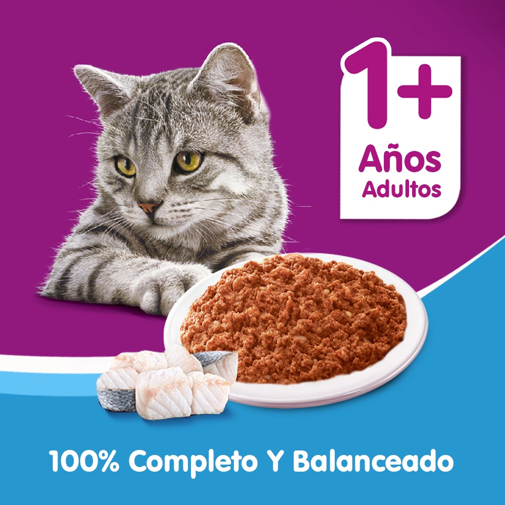 Whiskas Atún en Paté para Gato Adulto - 5