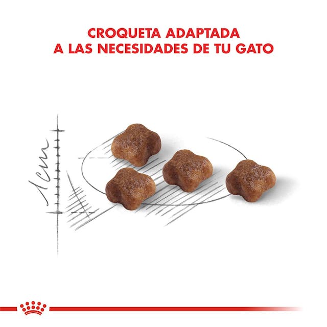 Royal Canin Mother & Babycat - 3