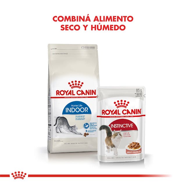 Royal Canin Indoor para Gato Adulto - 6