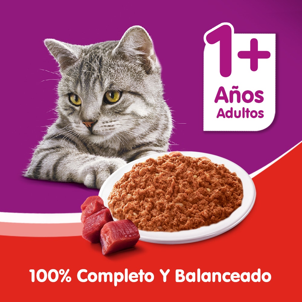 Whiskas Carne en Paté para Gato Adulto - 5