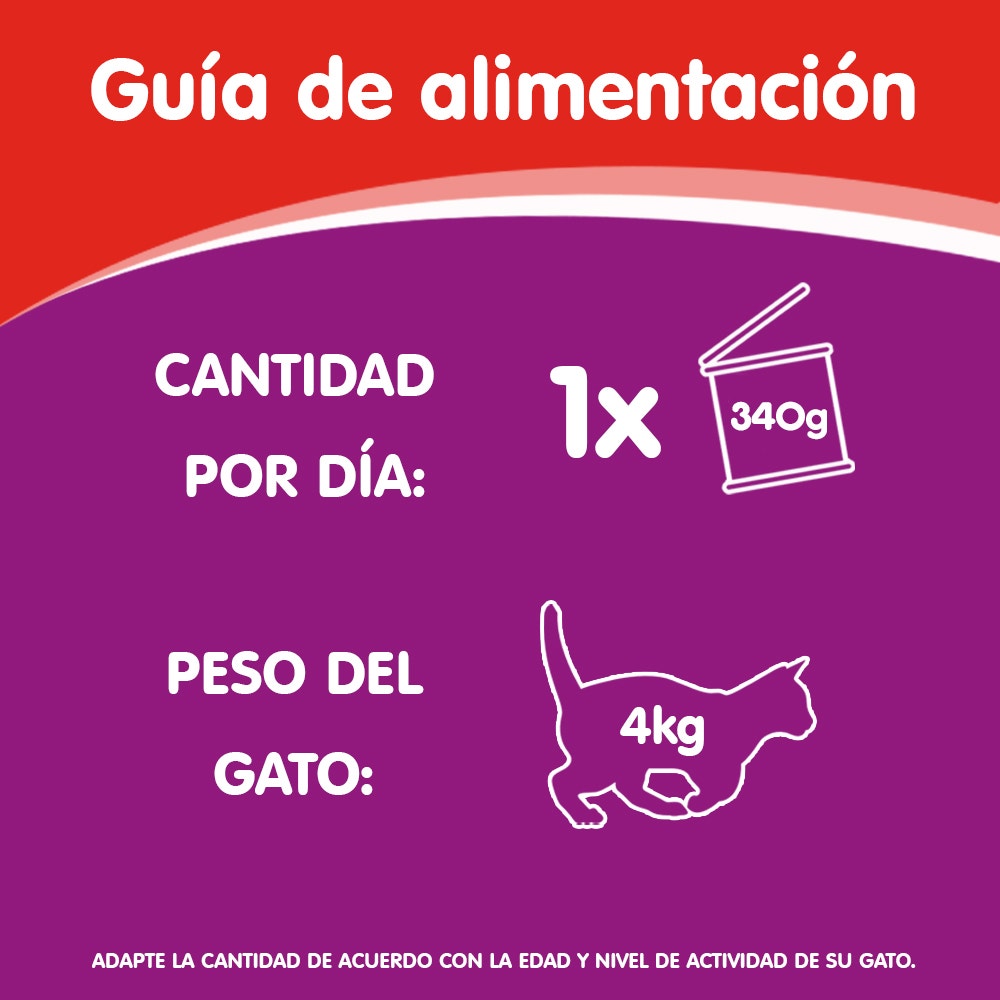 Whiskas Carne en Paté para Gato Adulto - 6