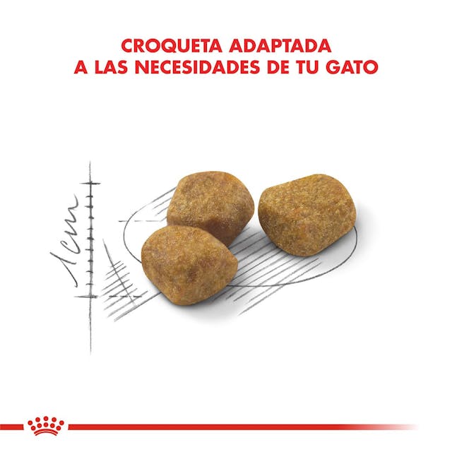 Royal Canin Indoor 7+ para Gato Senior - 3