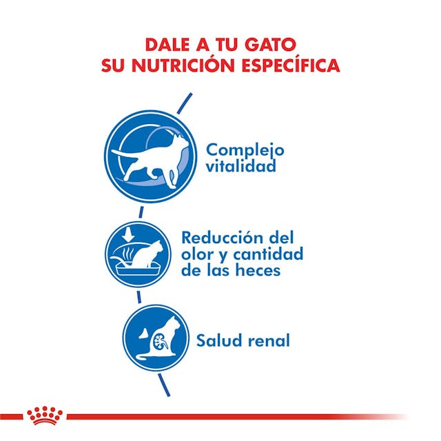 Royal Canin Indoor 7+ para Gato Senior - 4