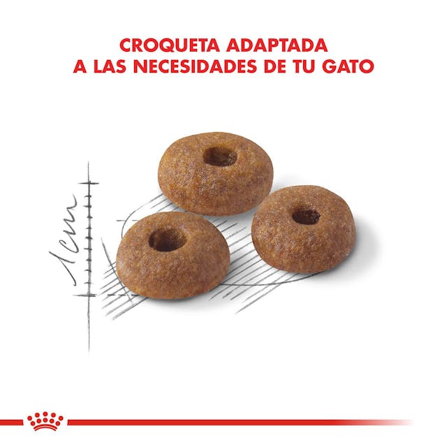 Royal Canin Fit para Gato Adulto - 3