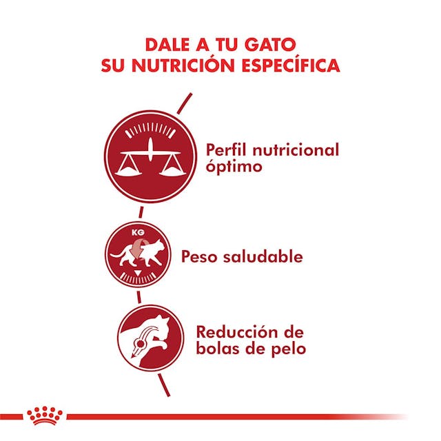 Royal Canin Fit para Gato Adulto - 4