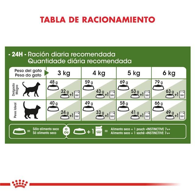 Royal Canin Active 7+ para Gato Senior - 2
