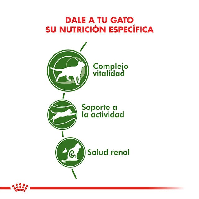 Royal Canin Active 7+ para Gato Senior - 4