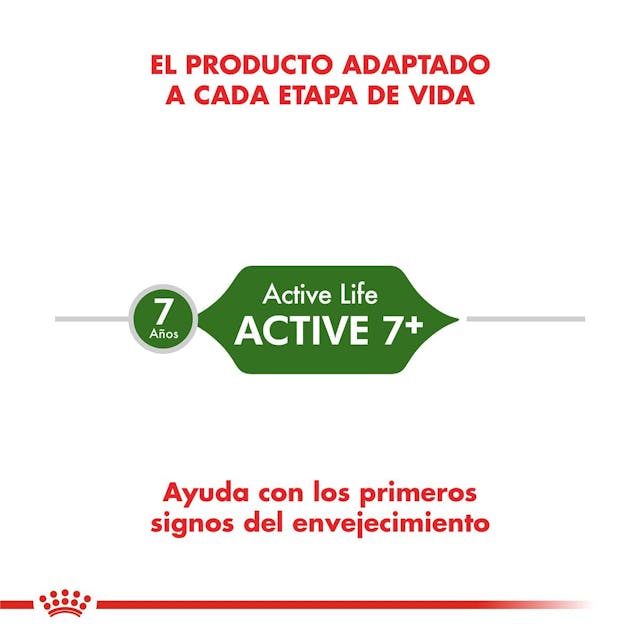 Royal Canin Active 7+ para Gato Senior - 5