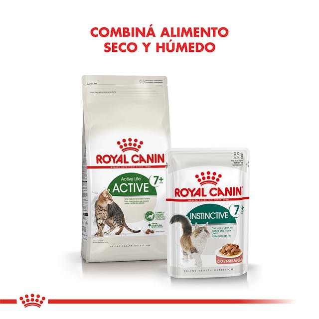 Royal Canin Active 7+ para Gato Senior - 6