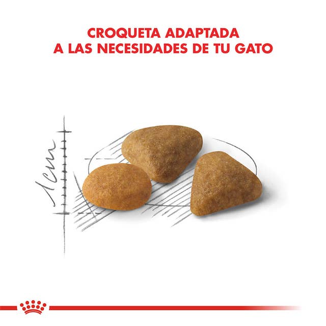Royal Canin Exigent para Gato Adulto - 3