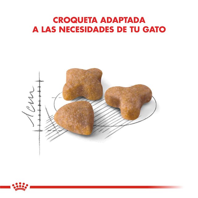 Royal Canin Sensible para Gato Adulto - 3