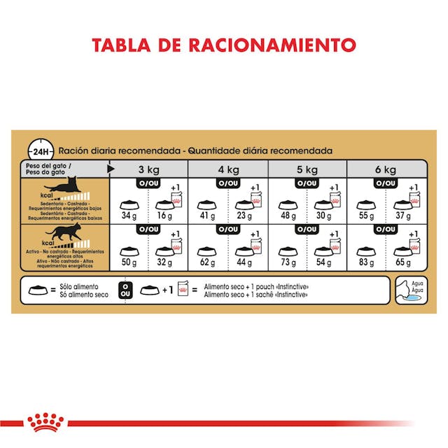 Royal Canin Siamese Adult - 2