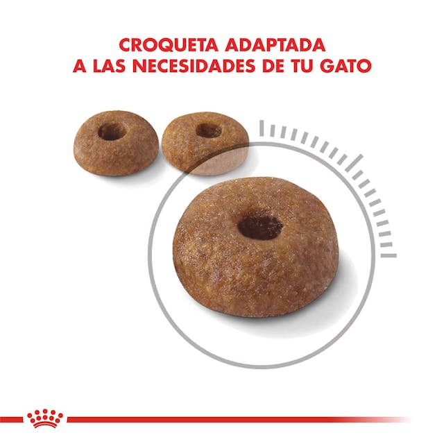 Royal Canin Weight Care para Gato Adulto - 3