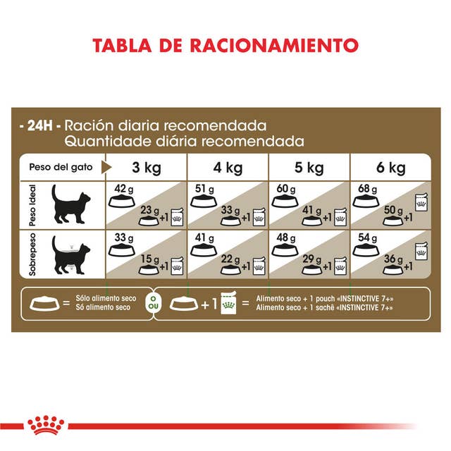 Royal Canin Ageing 12+ para Gato Senior - 2