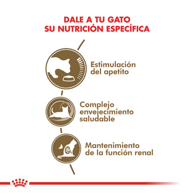 Royal Canin Ageing 12+ para Gato Senior - 4