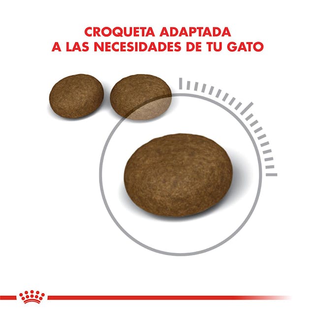 Royal Canin Hair & Skin Care para Gato Adulto - 3