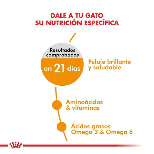 Royal Canin Hair & Skin Care para Gato Adulto - 4