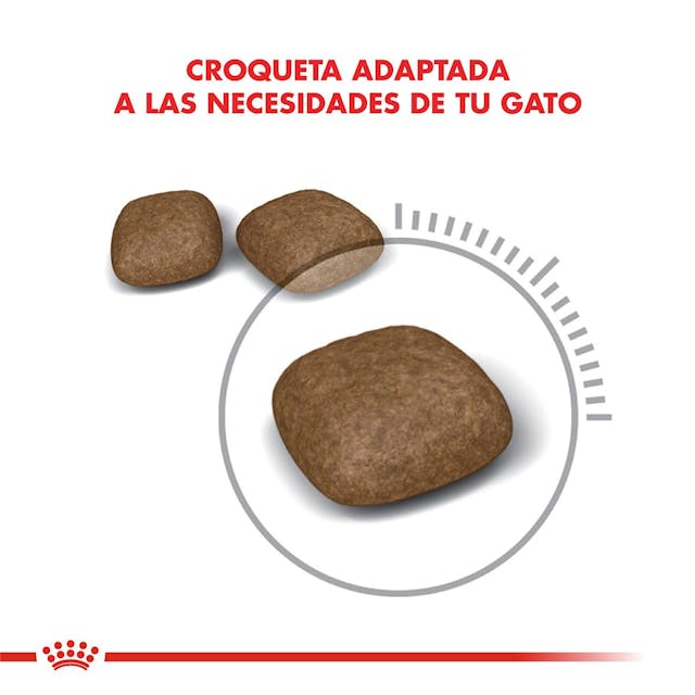 Royal Canin Urinary Care para Gato Necesidades Especiales - 3