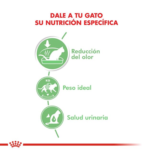 Royal Canin Digest Sensitive para Gato Adulto - 4