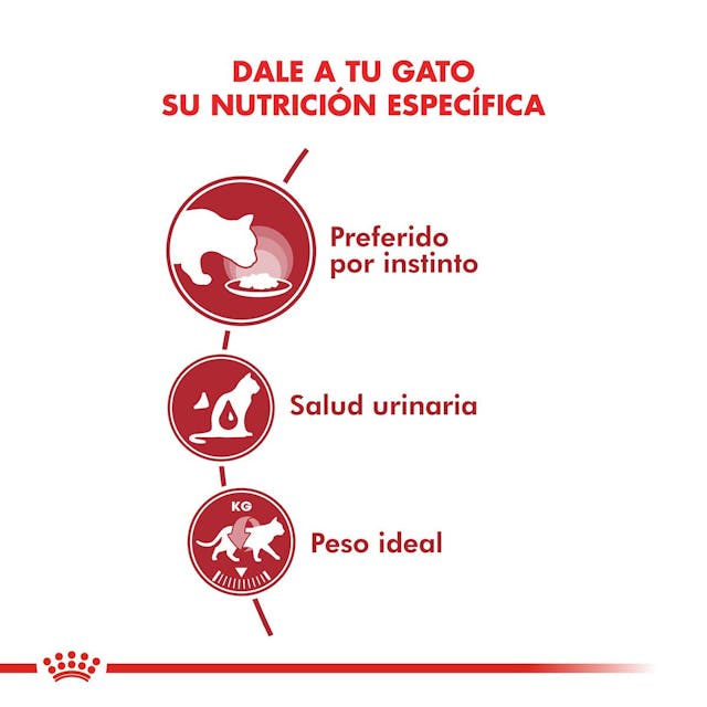 Royal Canin Instinctive para Gato Adulto - 4