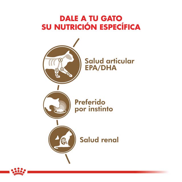 Royal Canin Ageing 12+ para Gato Senior - 3