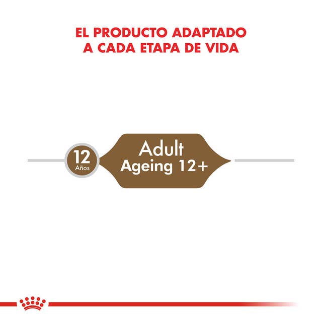 Royal Canin Ageing 12+ para Gato Senior - 5