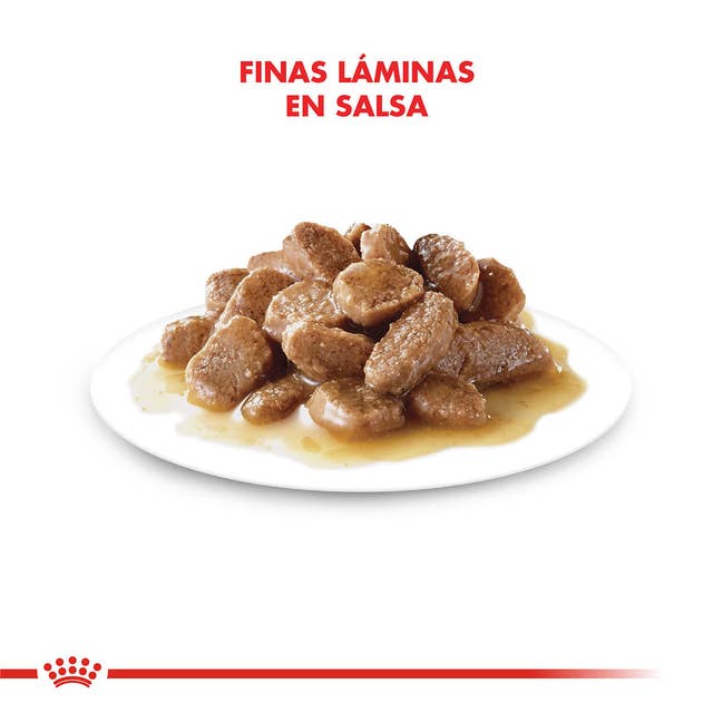 Royal Canin Ageing 12+ para Gato Senior - 6