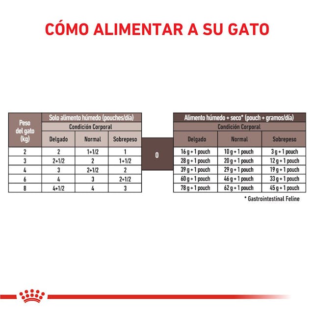 Royal Canin Gastrointestinal para Gato Necesidades Especiales - 2