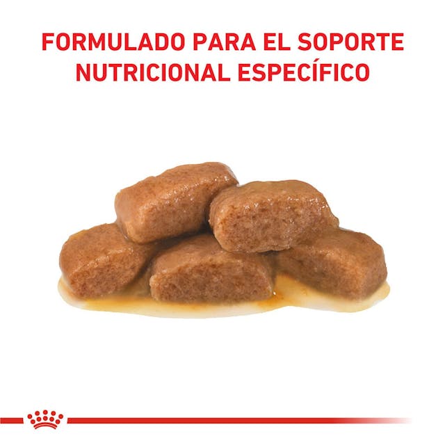 Royal Canin Gastrointestinal para Gato Necesidades Especiales - 3