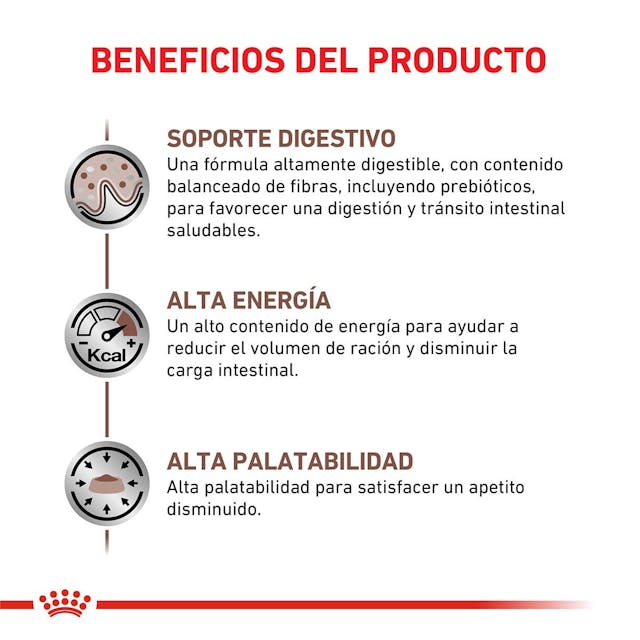 Royal Canin Gastrointestinal para Gato Necesidades Especiales - 4