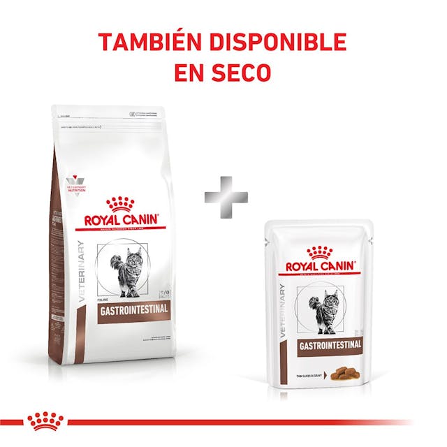 Royal Canin Gastrointestinal para Gato Necesidades Especiales - 6