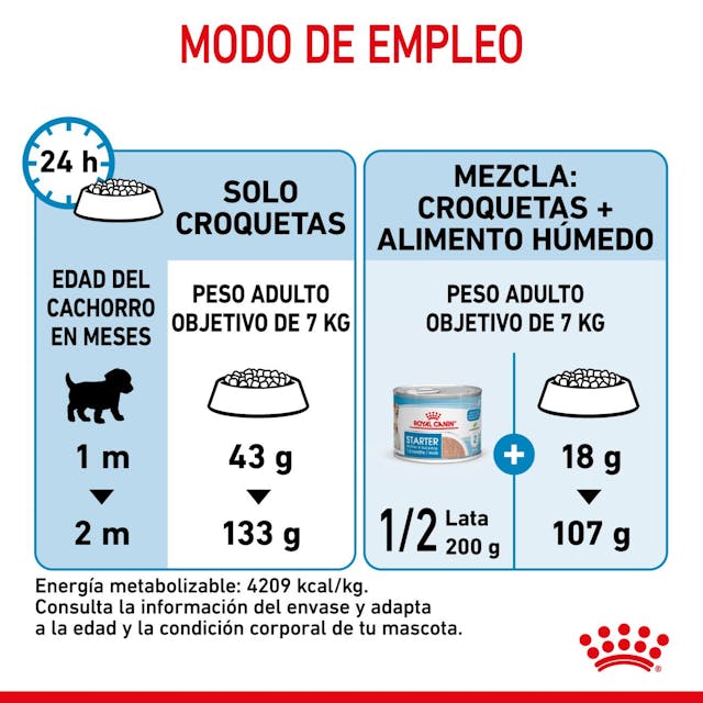 Royal Canin Mini Starter Mother & Babydog para Perro Cachorro Raza Pequeña - 3