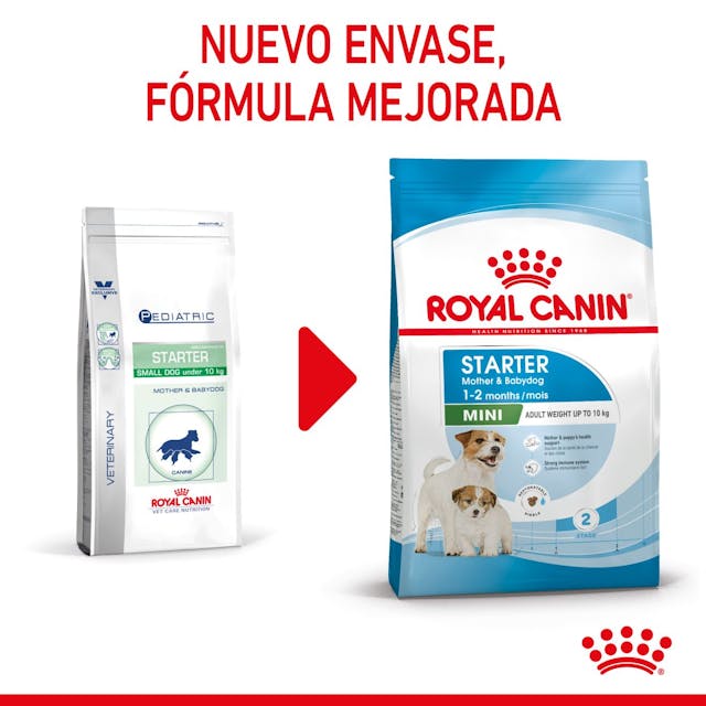 Royal Canin Mini Starter Mother & Babydog para Perro Cachorro Raza Pequeña - 6