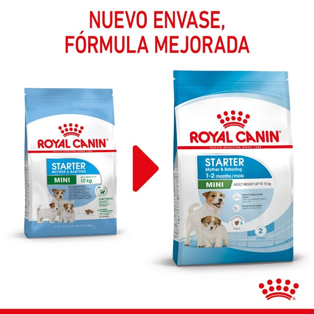 Royal Canin Mini Starter Mother & Babydog para Perro Cachorro Raza Pequeña - 7